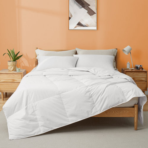 Charlton Home® Lightweight Down Blanket Duvet Insert & Reviews Wayfair